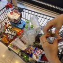 호그니 하우스 이미지