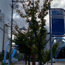 걸포다목적체육관 이미지