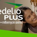 하남플러스동물병원 이미지