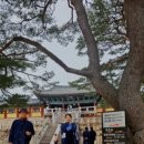 윤옥연할매떡볶이 이미지