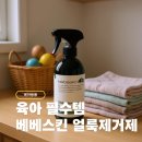그린어스코리아(유) | 이유식 얼룩,분유토 자국, 커피 얼룩 지우기까지! 베베스킨 얼룩제거제 솔직후기🧼