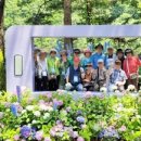 노블레스타워 부속의원 이미지