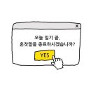 책방밀물 이미지