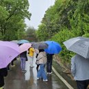 장척농장 이미지