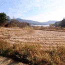 반곡 농장 이미지