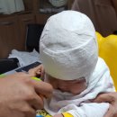 대호보조기상사 이미지