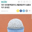 모란동백갤러리 이미지