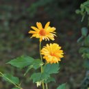 꽃사슴어린이공원 이미지