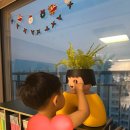 남사-15 | 남사화훼집하장 vs 에르베플라워아울렛 방문후기 보스턴고사리, 홍콩야자 키우기