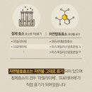 [효소 솔직후기] 변비에 효과 좋은 &#39;스위치온 엔온효소&#39; 먹어본 후기