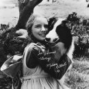 초원의집 이미지