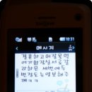 네톡