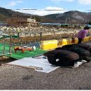 부항초교 이미지