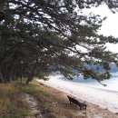 청송해변집 이미지