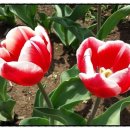주택(노산리 396-6) ~ 주택(노산리 379-9) | 2016년 들어온 책.. 딱 10년입니다...