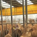 현태농장 이미지