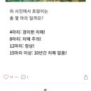 구월4동-16 이미지