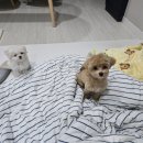 데이,그룸 이미지