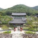 호수와 소나무 이미지