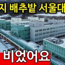 강원도 혈세 &#39;3000억&#39; 서울대 | 유령도 절레절레 이미지