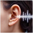 시그니아독일보청기서초센터 이미지