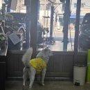 성호카센타 이미지