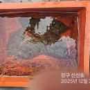 (주)씨알케어 네이버블로그