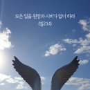 * 나무를 보지 말고 숲을 보라?! - 조태성 이미지