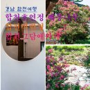 그담애 네이버블로그