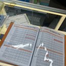 으뜸50안경 마들점 이미지