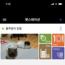 성공펫