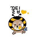 공설운동장동편(2) 이미지