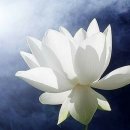 2020-주143 네이버블로그