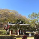 화순 쌍봉사 철감  | 전남 화순 가볼만한곳 쌍봉사 방문 후기