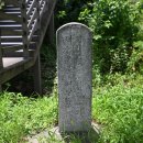 함안 용산리 함안층 새발자국화석 산지 이미지