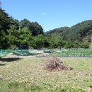 춘천대지부동산공인중개사사무소 이미지