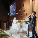 그레이스풀플라워 | [루비나엘웨딩 고객 후기] 반짝이는 드레스와 빛나는 순간, 레디언트 × 그레이스풀 무드