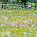 시민복지타운광장 이미지