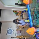 뽑기노리 | 가정동 키즈카페 🎈 노리파크 시설, 가격, 후기 총정리