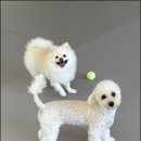 마인드몽 유치원 이미지