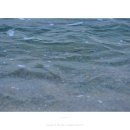 사천해변 이미지