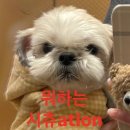 헐