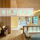 성산 동백소랑 | 제주도 여행 숙소 추천 성산 동백소랑 제주 성산 동백소랑, 힐링 공간