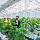 임차랑농장 이미지