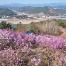 달성영업소 | 대구 와룡산 등산코스 진달래군락지-상리봉전망대
