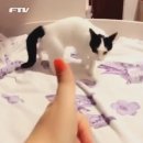 쏘자 이미지