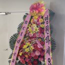 행복해서울어본적있나요 이미지
