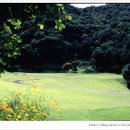 중부컨트리클럽 이미지