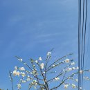 수양민박 이미지