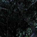 옥룡사지 이미지